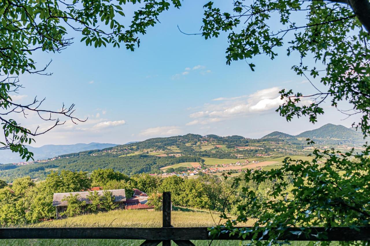 Apartmani Lunija Gornji Milanovac Kültér fotó