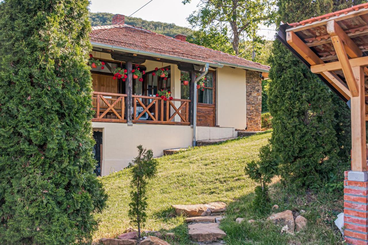 Apartmani Lunija Gornji Milanovac Kültér fotó