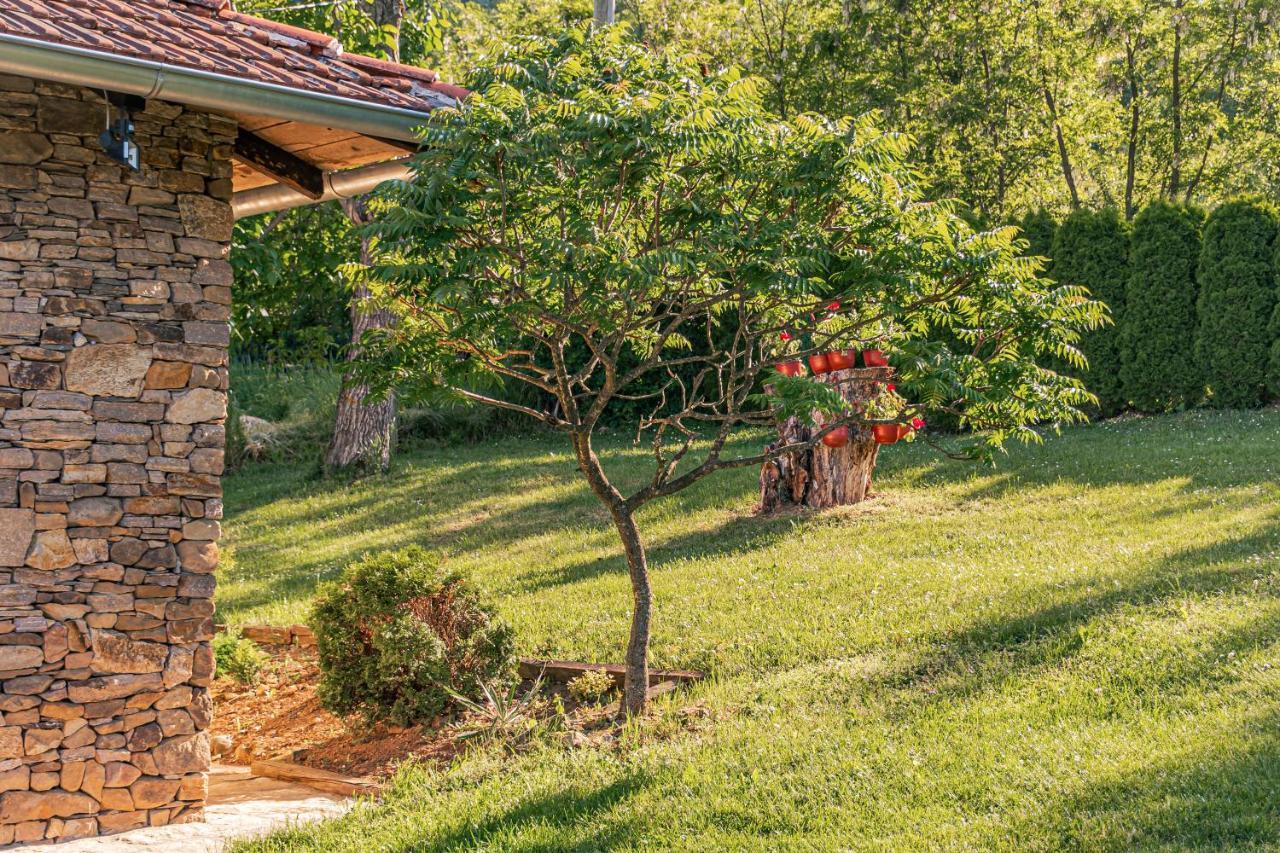 Apartmani Lunija Gornji Milanovac Kültér fotó